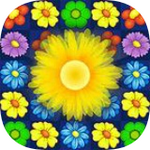 天花亂醉無廣告版 v1.0