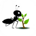 蚂蚁磁力搜索神器电脑版 V1.2