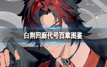 白荊回廊代號百草烙痕卡怎么樣 白荊回廊代號百草圖鑒