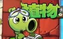 植物大戰(zhàn)僵尸雜交版電腦怎么下載教程 植物大戰(zhàn)僵尸雜交版電腦下載方法