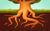 我的乐园破解版 v1.0.1