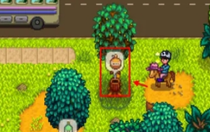 星露谷物語熊的知識怎么獲得 星露谷物語熊的知識獲取方法