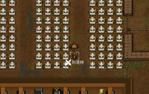 秩序新曙光科研速度太慢怎么辦 秩序新曙光科研速度太慢解決辦法