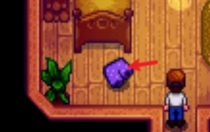 星露谷物語鎮(zhèn)長紫色短褲在哪 星露谷物語鎮(zhèn)長紫色短褲位置合集