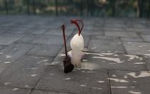 七日世界小紙人怎么獲得 七日世界小紙人收容攻略