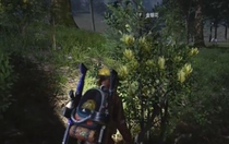 七日世界金銀花位置都在哪兒 七日世界金銀花位置合集