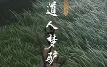 燕云十六聲道人夢驢奇遇怎么完成 燕云十六聲道人夢驢奇遇完成攻略