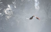 黑神話悟空有哪兒些形態(tài)能變 黑神話悟空幻化形態(tài)合集