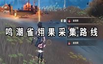 鳴潮雀翎果怎么采集 鳴潮雀翎果采集路線