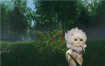 劍網(wǎng)3解心語寵物奇遇怎么做 劍網(wǎng)3解心語寵物奇遇攻略