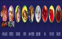 云頂之弈S12堡壘衛(wèi)士滑板鞋怎么玩 云頂之弈S12堡壘衛(wèi)士滑板鞋玩法推薦