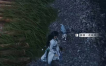 燕云十六聲貓貓花旋風在哪 燕云十六聲貓貓花旋風位置介紹