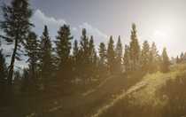 暗區(qū)突圍國際服游客登錄怎么綁定 暗區(qū)突圍國際服游客登錄綁定方法