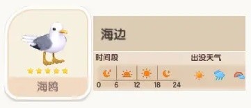 心動小鎮(zhèn)海鷗在哪里拍 心動小鎮(zhèn)海鷗拍照攻略