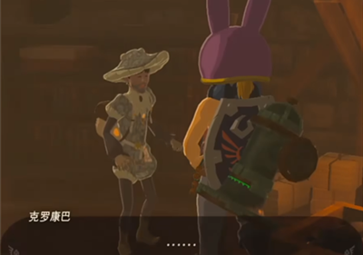 《塞爾達(dá)傳說王國(guó)之淚》怎么獲得依蓋隊(duì)套裝