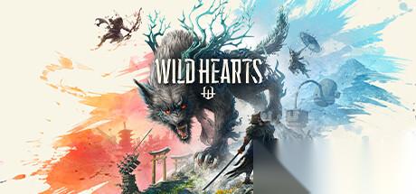 狂野之心聲音沒了怎么辦