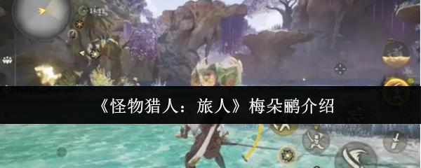 怪物獵人：旅人 梅朵鸝介紹