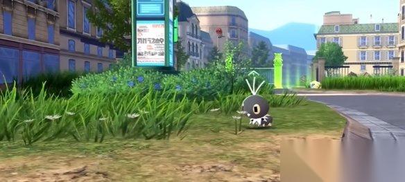 《寶可夢傳說za》港版和日版購買建議