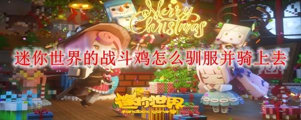 迷你世界的戰(zhàn)斗雞怎么馴服并騎上去