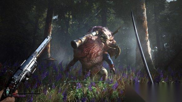 類魂新作 不朽遺志 總監(jiān):目前游戲只有一個難度選項