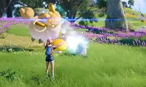 頂級(jí)弓箭手寵物推薦有哪些